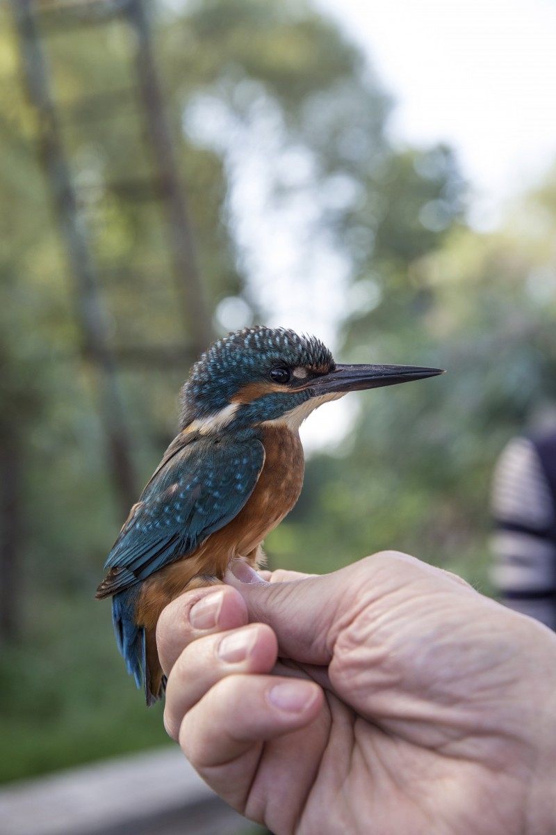 26.08.2019_Editpress_488634