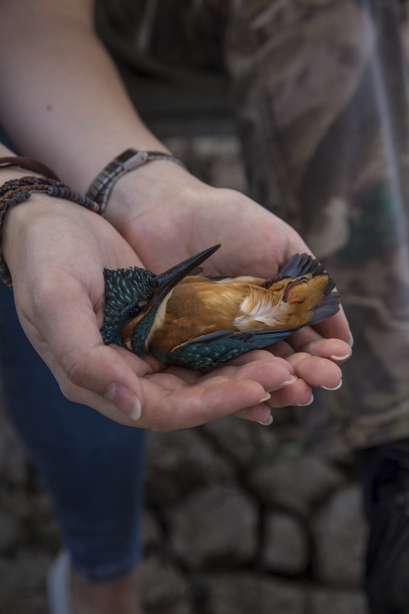 26.08.2019_Editpress_488636