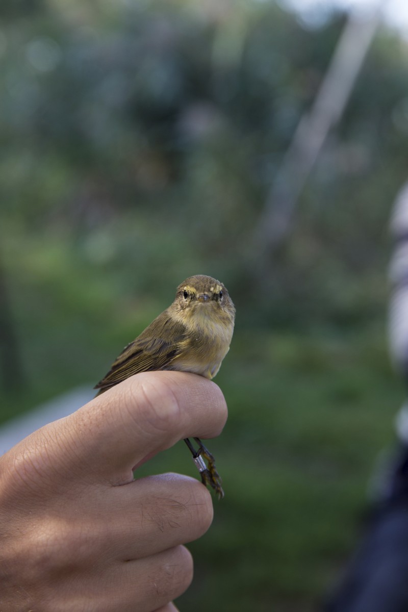 26.08.2019_Editpress_488639