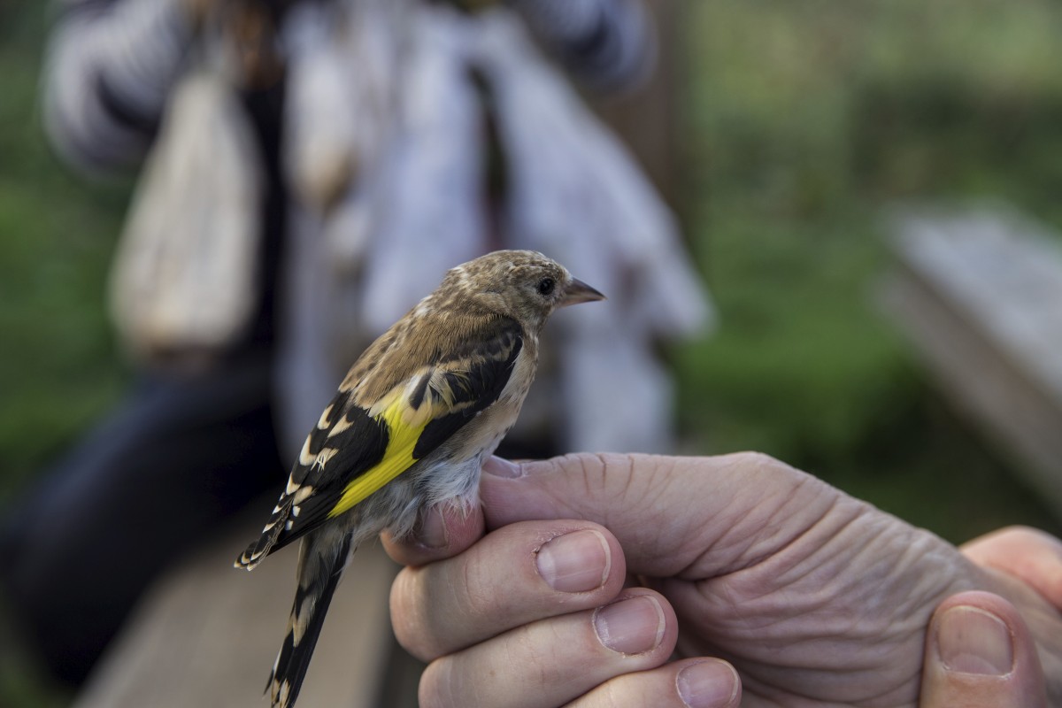 26.08.2019_Editpress_488640