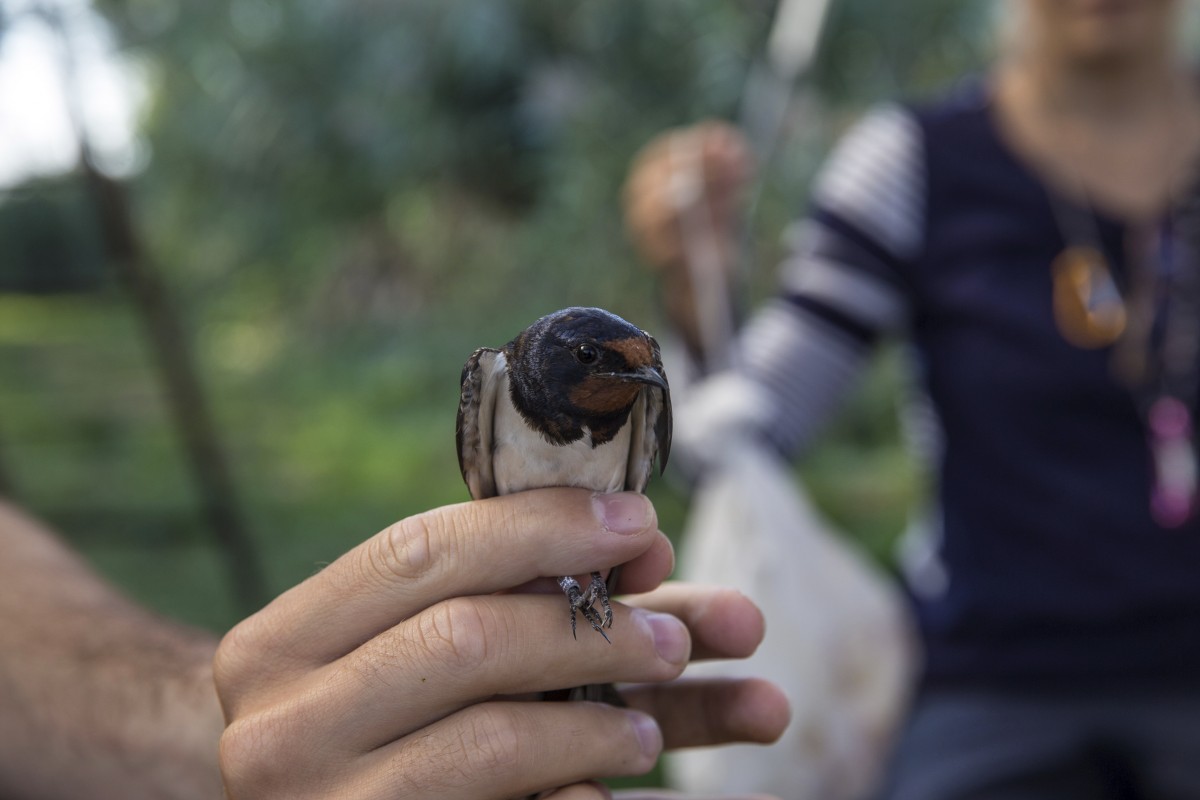 26.08.2019_Editpress_488641