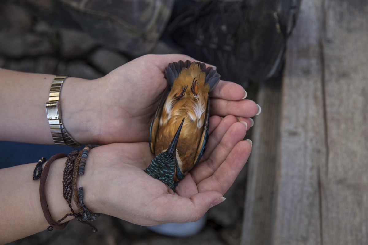 26.08.2019_Editpress_488642