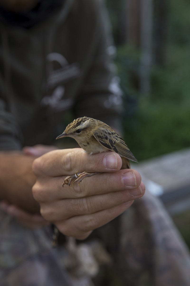 26.08.2019_Editpress_488643