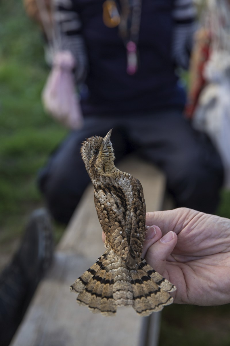 26.08.2019_Editpress_488645