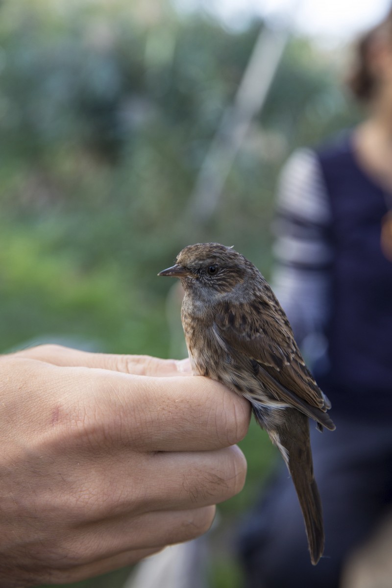 26.08.2019_Editpress_488646