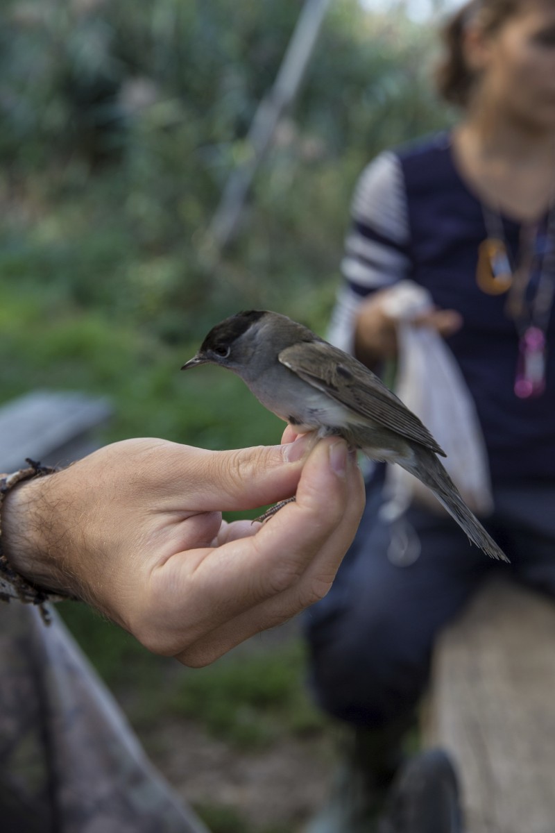 26.08.2019_Editpress_488647