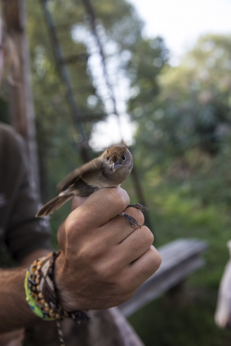 26.08.2019_Editpress_488648