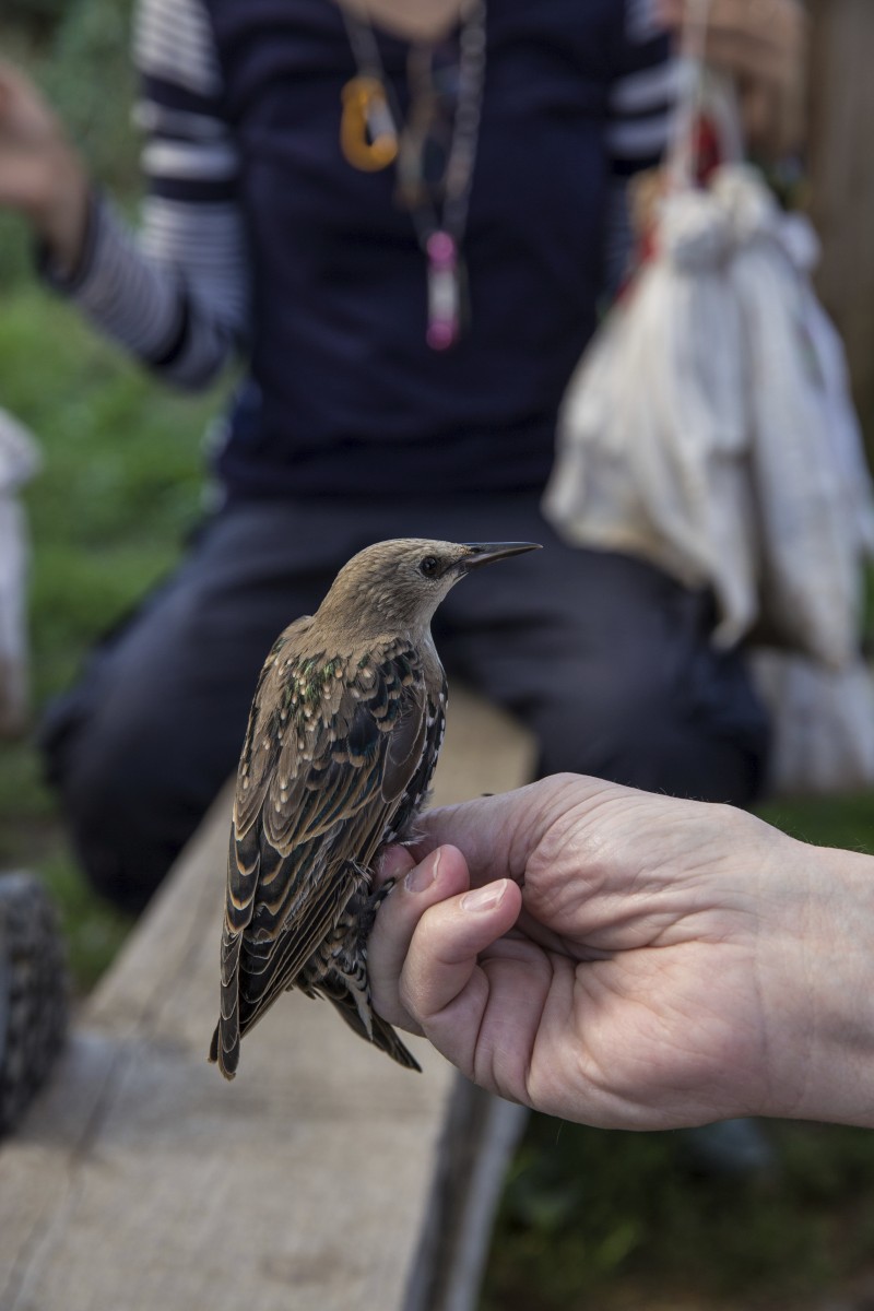 26.08.2019_Editpress_488649