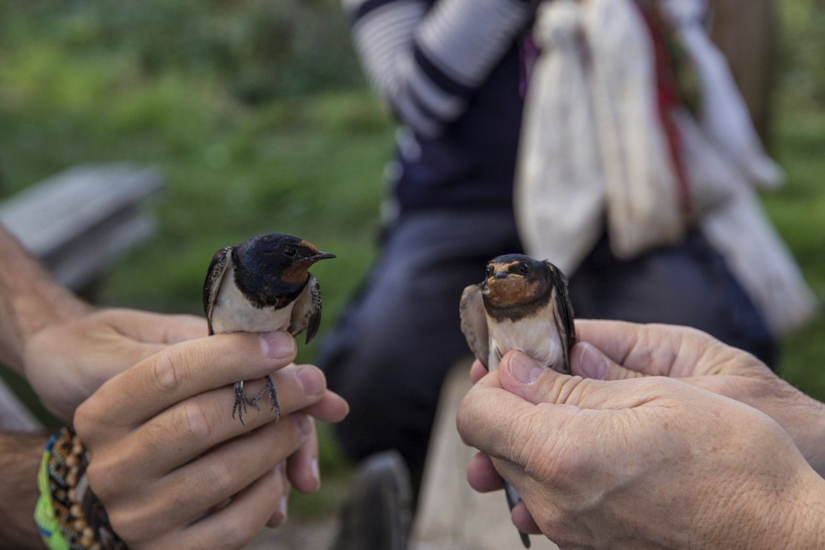 26.08.2019_Editpress_488651