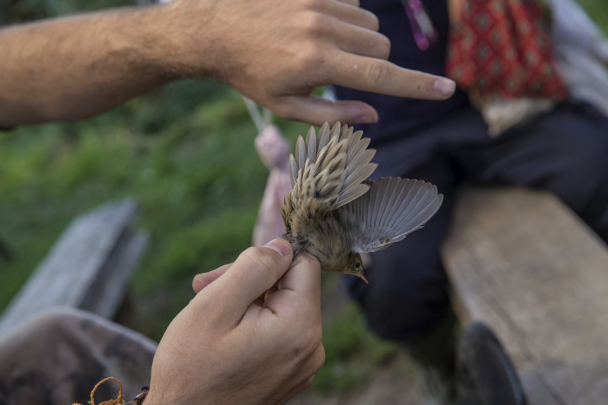 26.08.2019_Editpress_488652