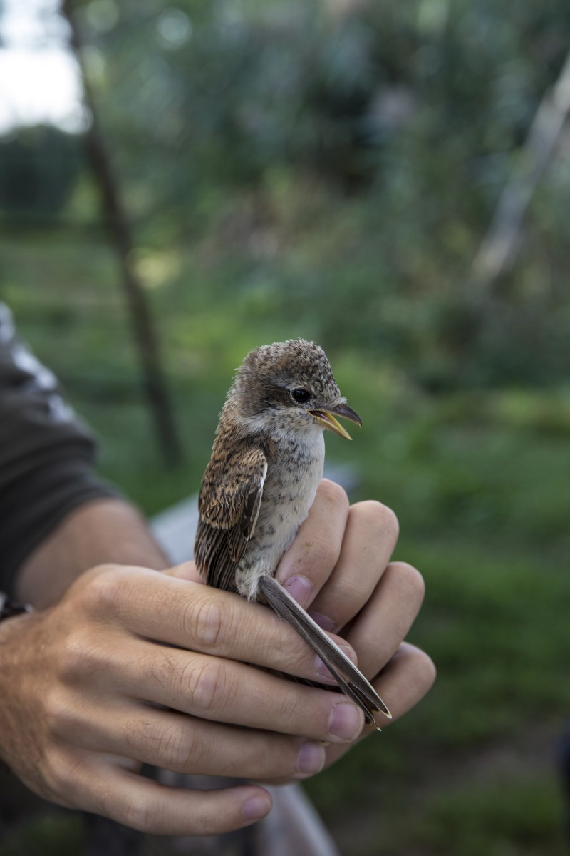 26.08.2019_Editpress_488653