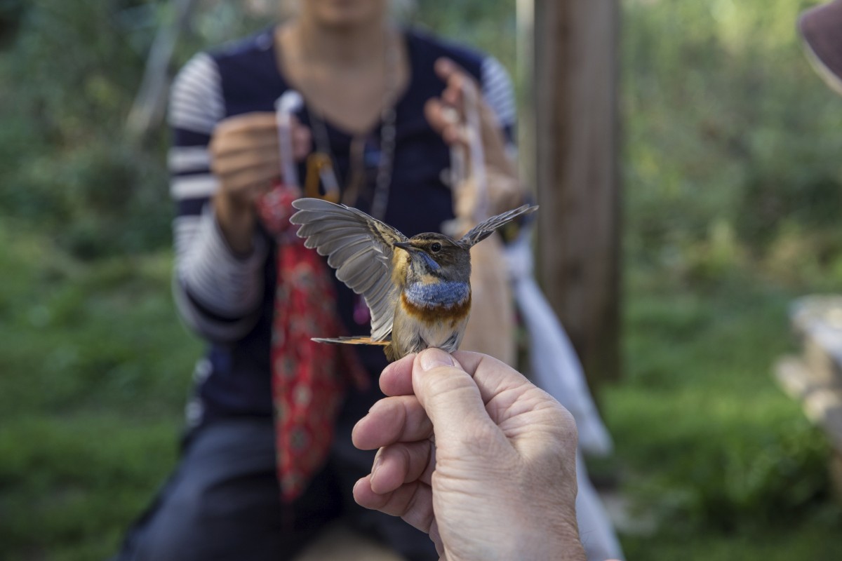 26.08.2019_Editpress_488654