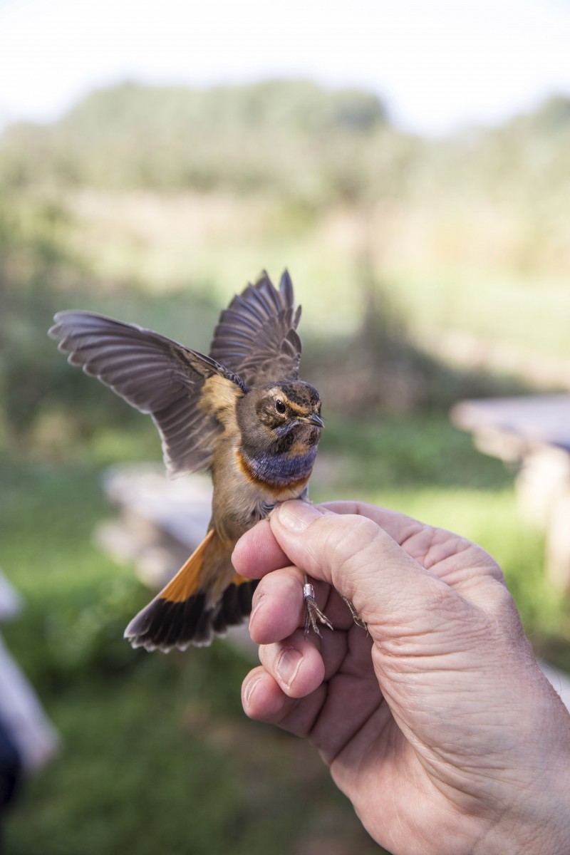 26.08.2019_Editpress_488655