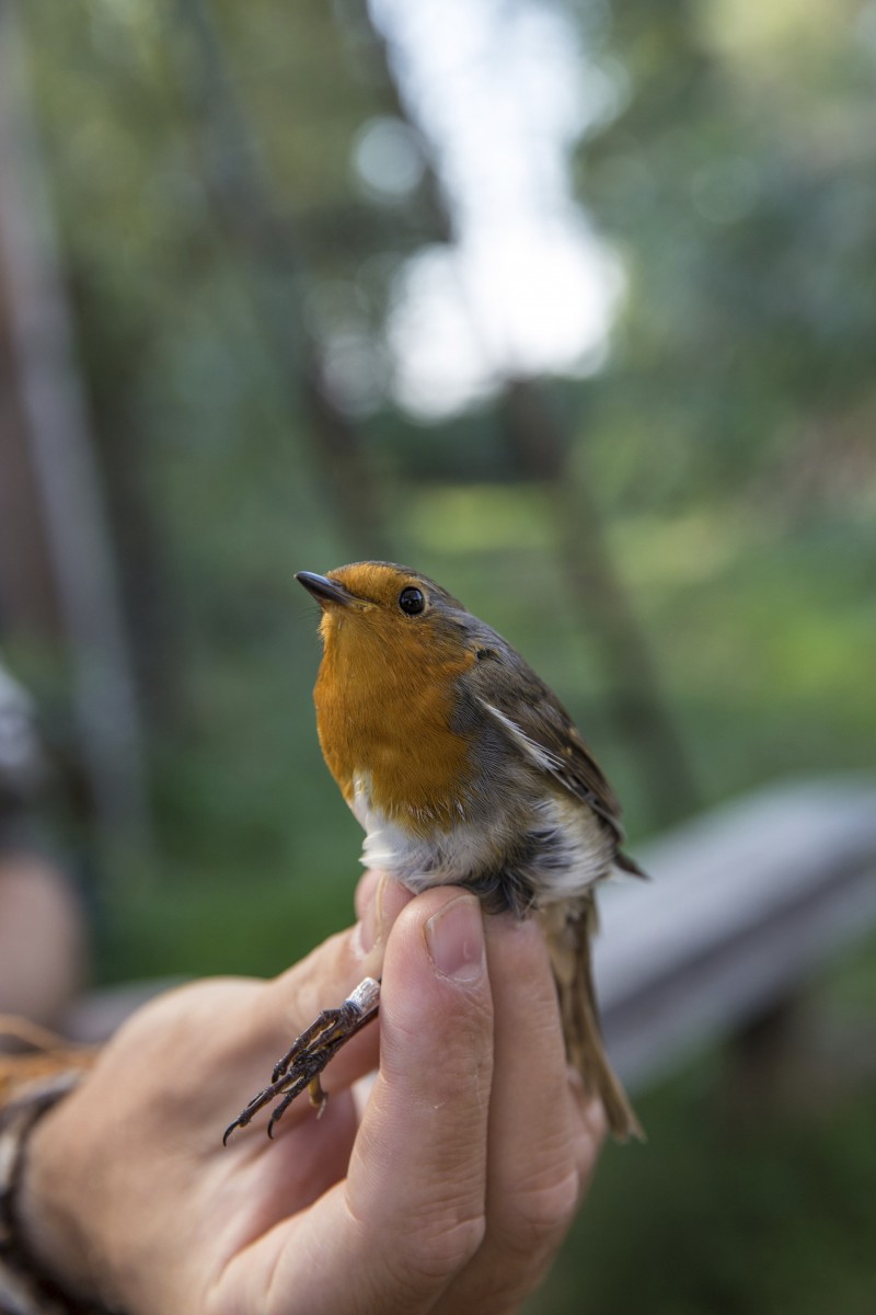 26.08.2019_Editpress_488656