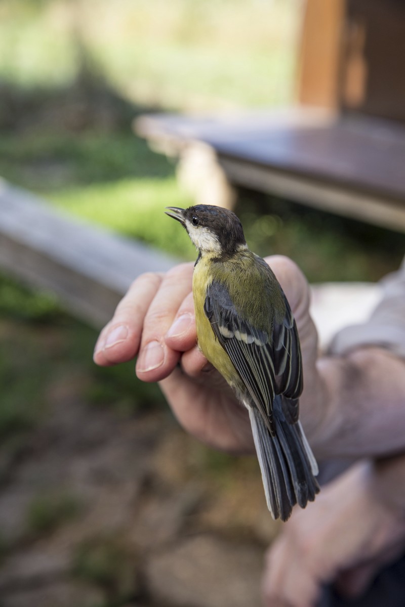 26.08.2019_Editpress_488657