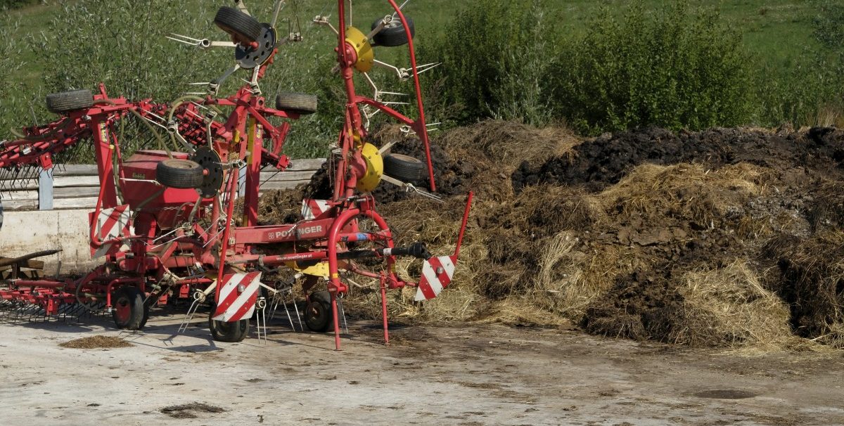 Rülpsende Kühe: Umwelt- und Klimaschutz aus Sicht der Bauern