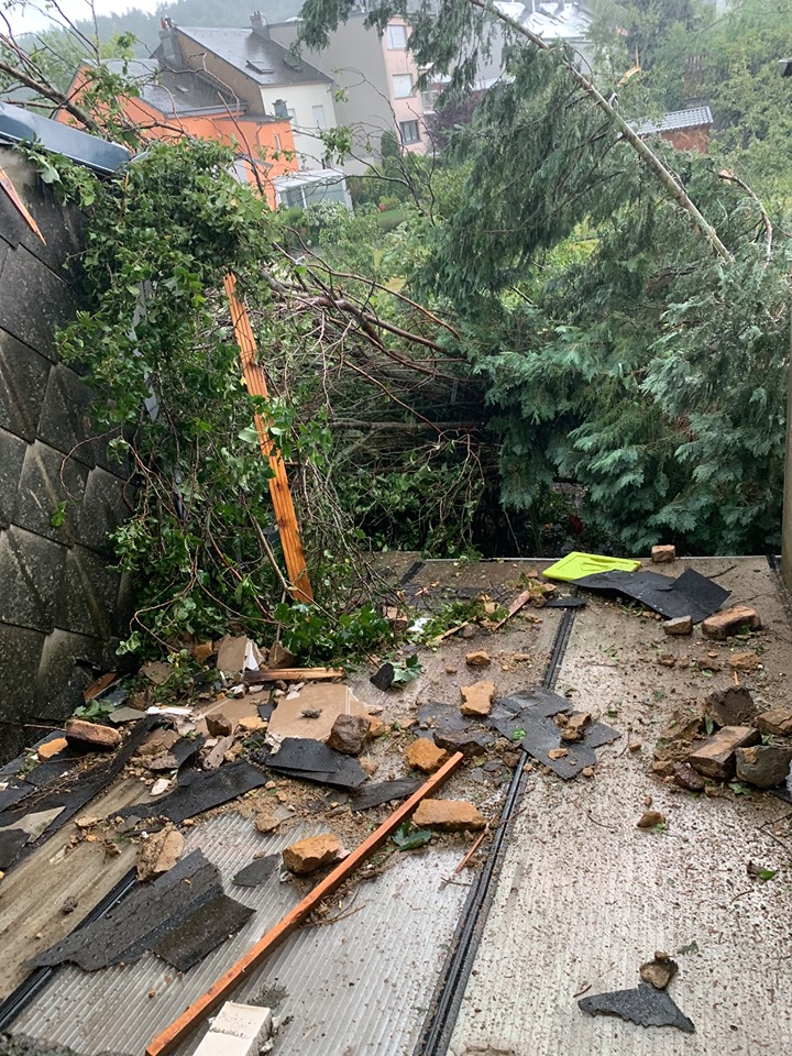 68364311_158095932028954_6142117629181034496_n