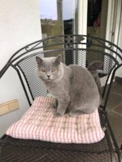 69168870_902472130113136_8028444815790178304_n