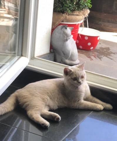 69265934_2073022646325898_4319503353240354816_n