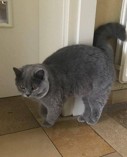 69519315_2694321890580023_6755618823690256384_n