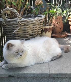 Fotos: Arlette Remackel