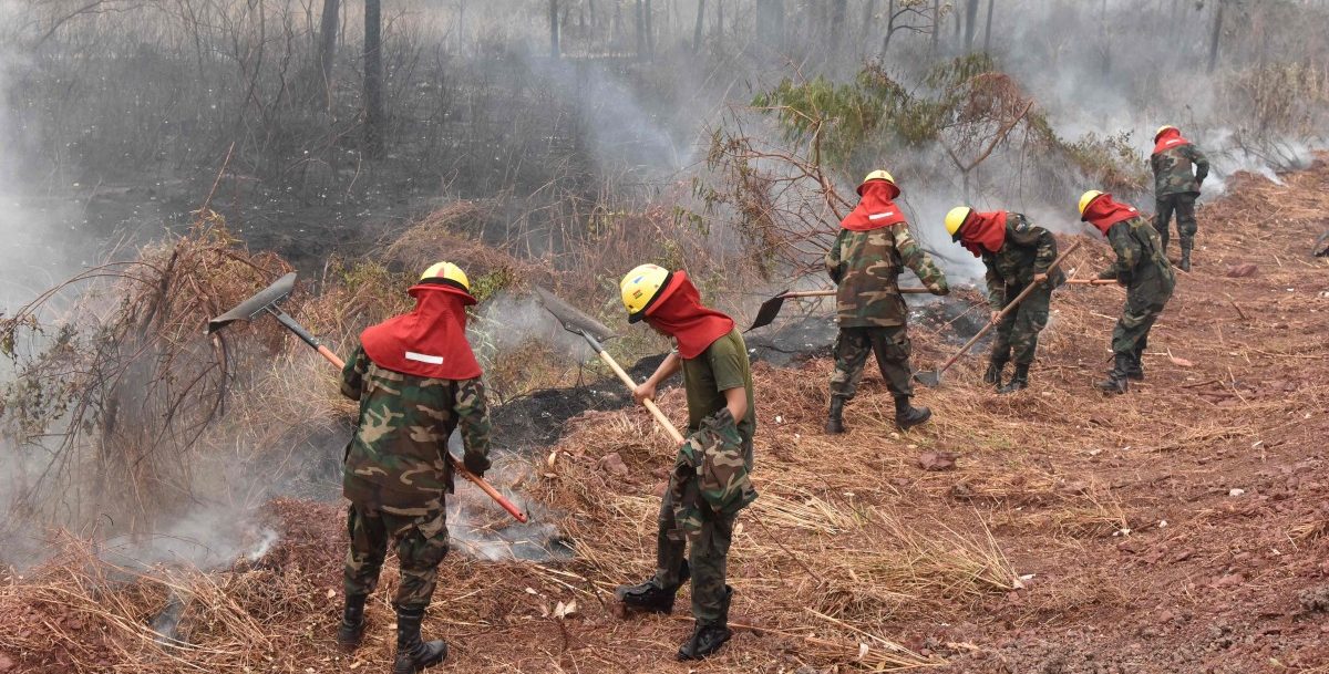 Brasilien will selbst über Verwendung von Hilfsgeldern entscheiden