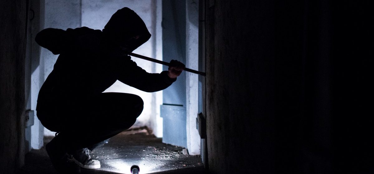 Hausherr überrascht zwei Einbrecher auf frischer Tat