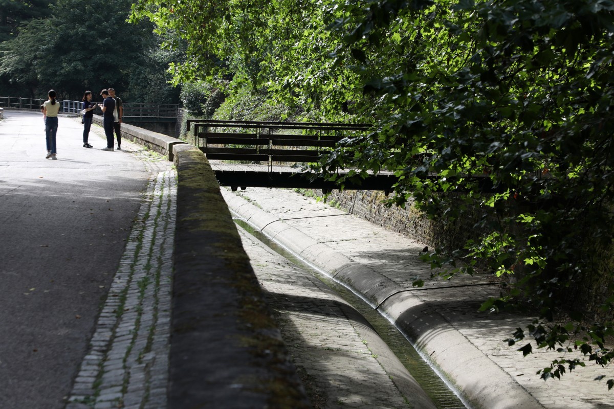 Petruss-© Editpress_Didier Sylvestre (4)