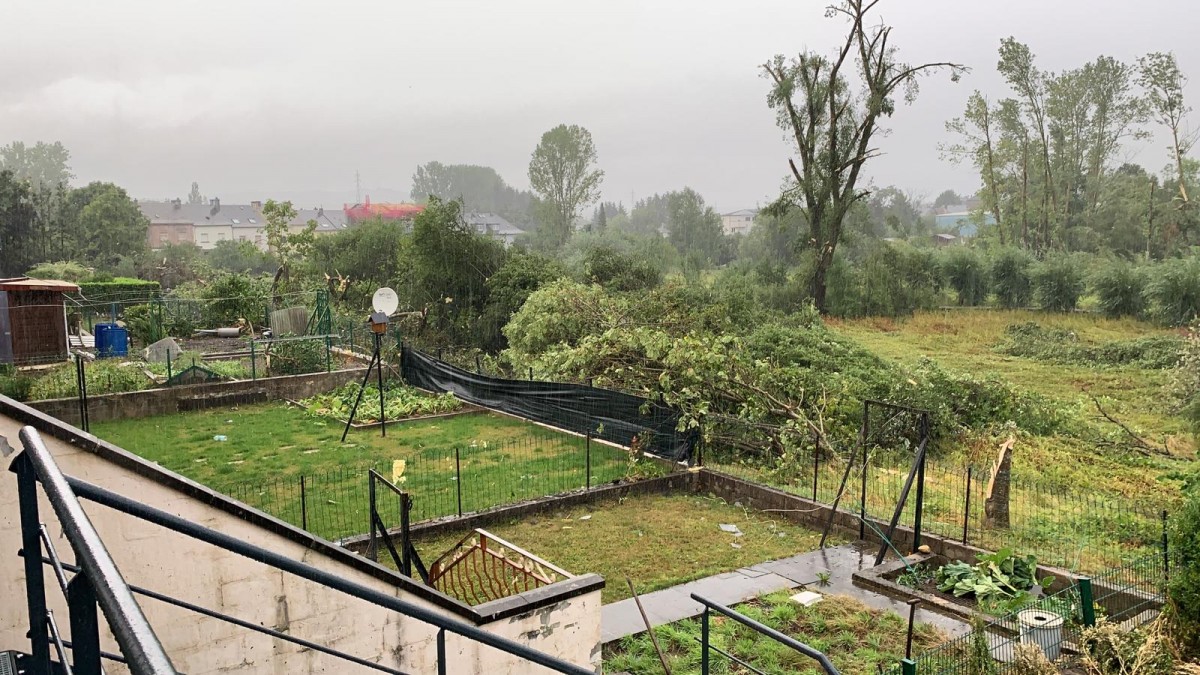 WhatsApp Image 2019-08-09 at 19.25.38