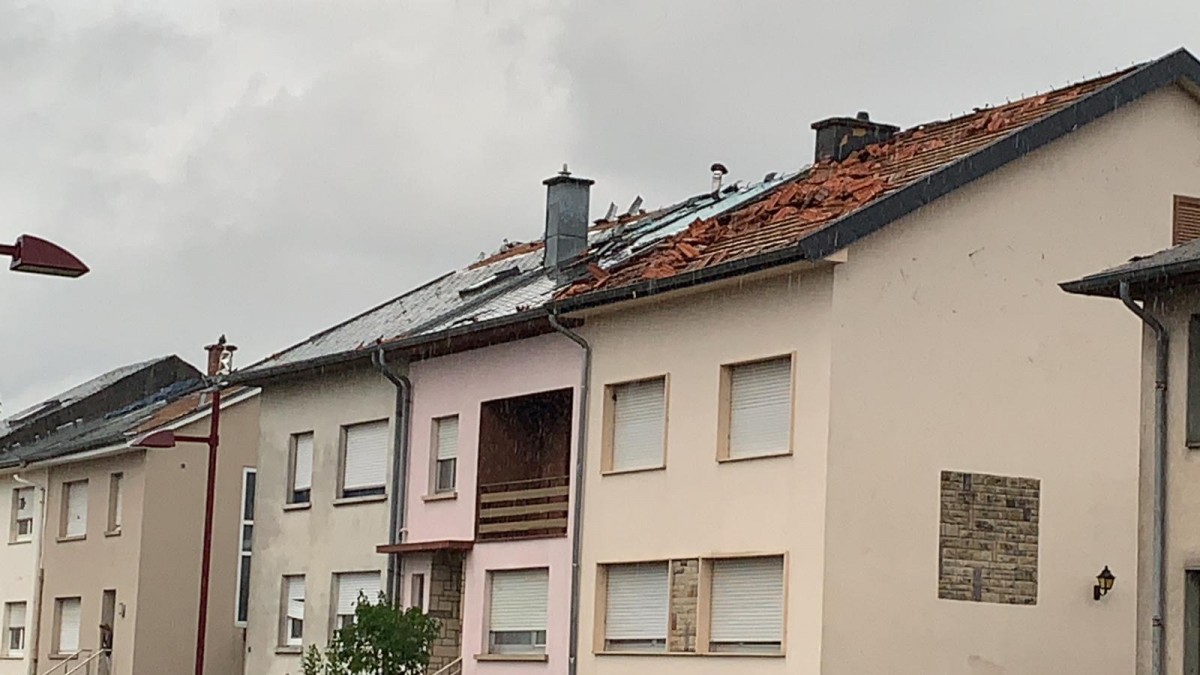 WhatsApp Image 2019-08-09 at 19.28.40