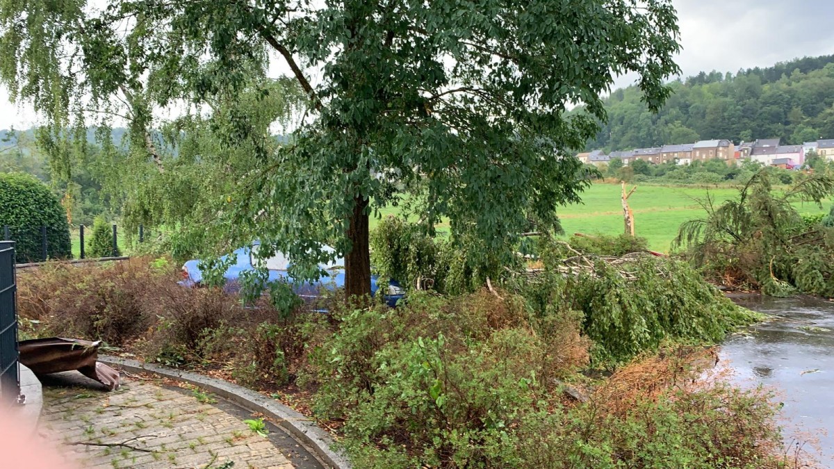 WhatsApp Image 2019-08-09 at 19.34.18