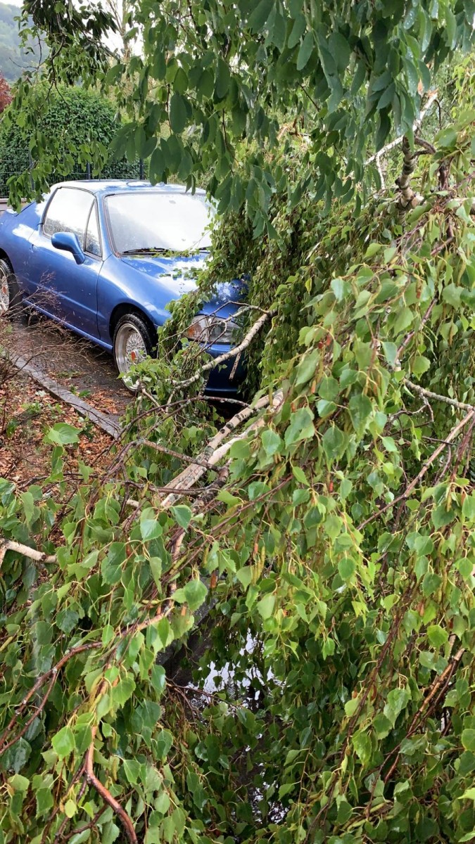 WhatsApp Image 2019-08-09 at 19.35.25