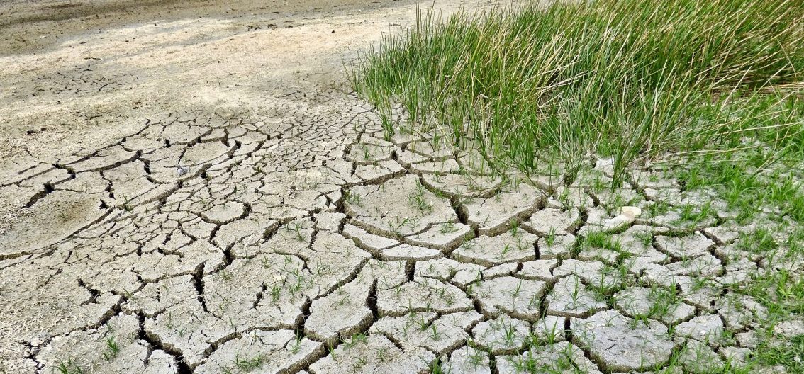 Weltweites Temperaturplus von über 1,5 Grad: Weltklimarat warnt vor Konsequenzen
