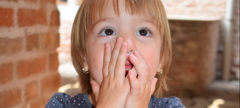 Zwischen Erdmännchen und Stachelschweinen: Nazi-Karussell schockt Freizeitparkbesucher