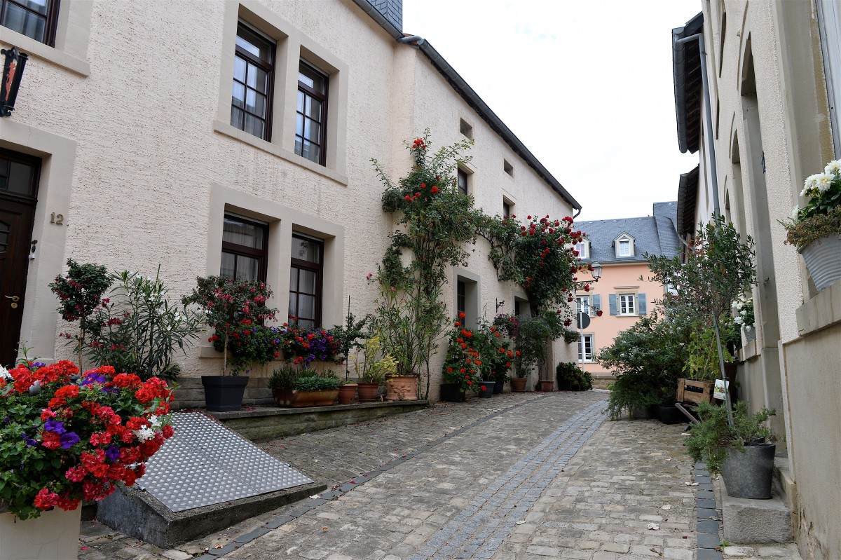 05.09.2019_Editpress_490033