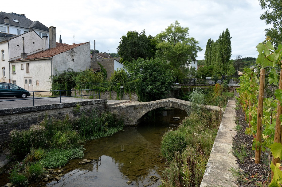 05.09.2019_Editpress_490042