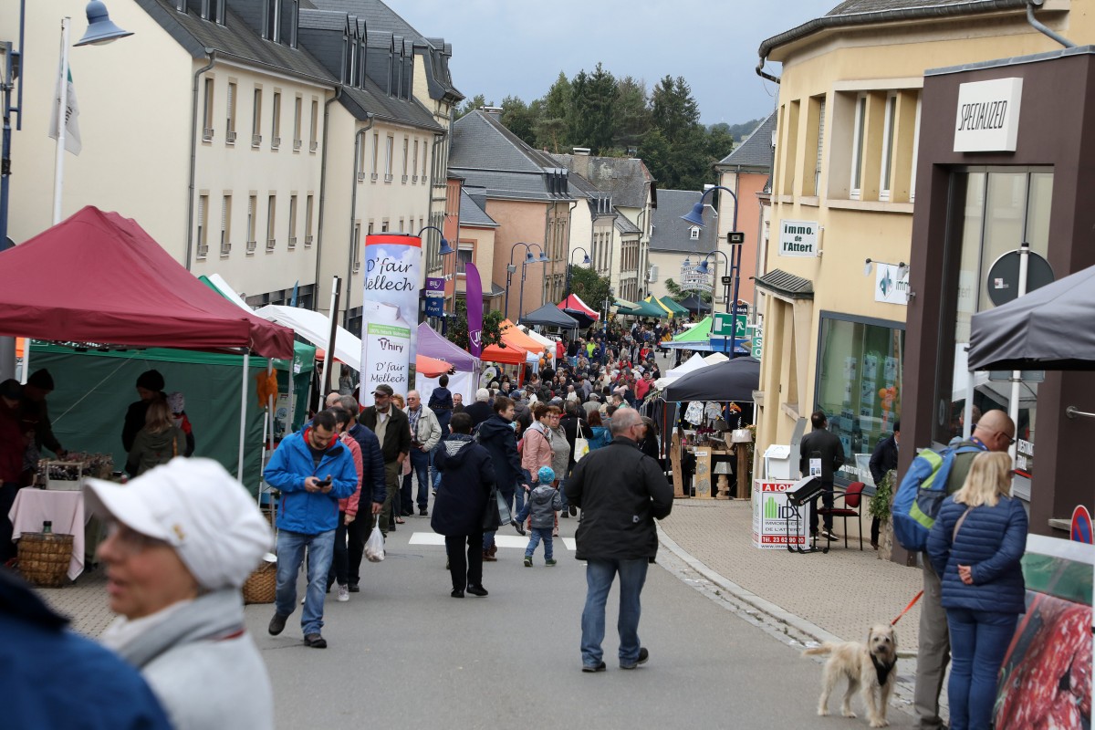 29.09.2019_Editpress_494316