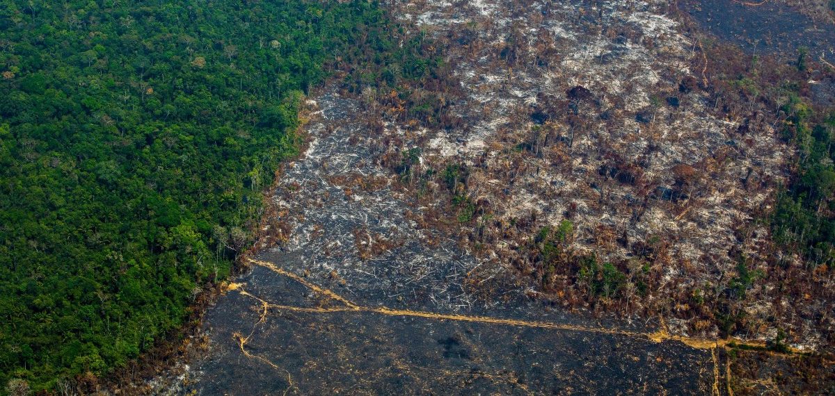 Forum / Le Brésil et la complicité des Européens: Arrêter la destruction de la forêt amazonienne