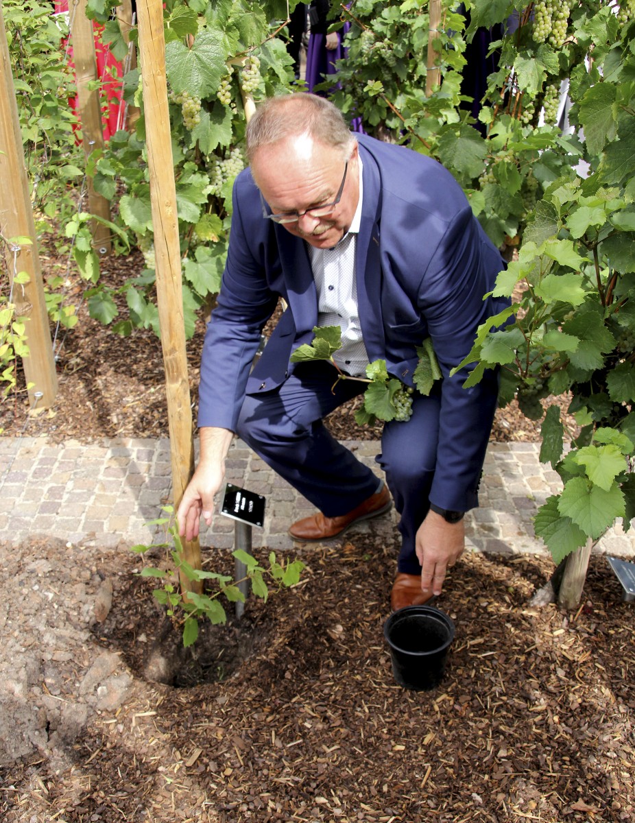 490_0008_15156387_Weinfest_Schwebsingen_IMG_1