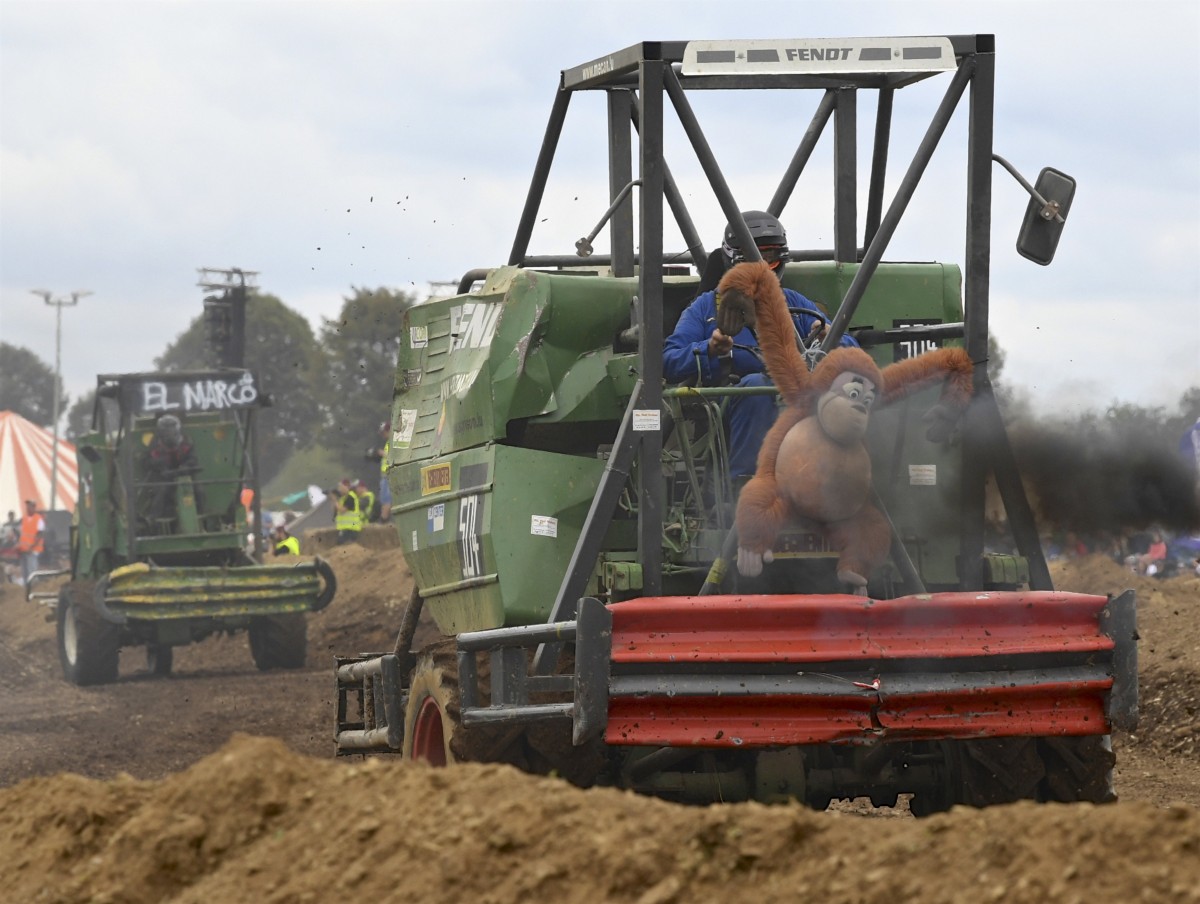 490_0008_15156485_01_09_2019_Editpress_489491