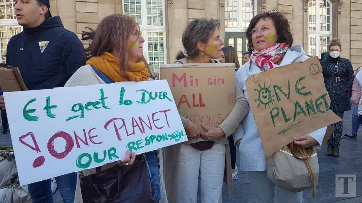 71397976_2031712613595227_3340194970882539520_n