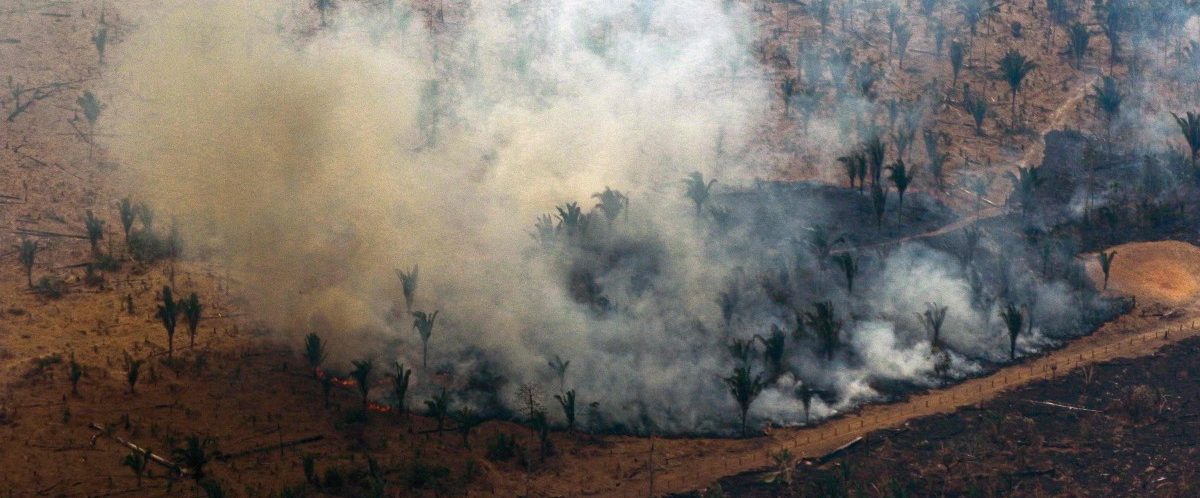 Ein Tropfen auf den Waldbrand: Die Mercosur-Frage bleibt