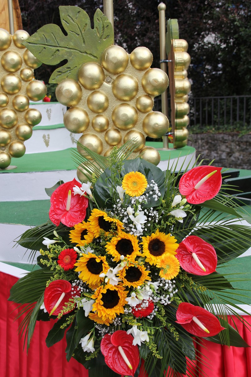 Trauben- und Weinfest Grevenmacher 2019 IMG_1362