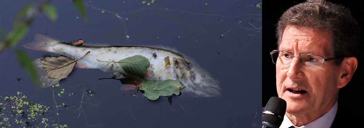Nicht gemeldet: Bettemburger Schöffe Gusty Graas kritisiert Umgang mit Alzette-Verschmutzung