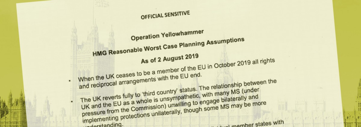 Britische Regierung veröffentlicht Szenarien für No-Deal-Brexit