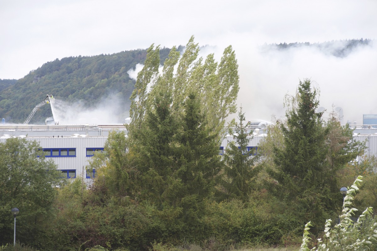 01.10.2019_Editpress_494665