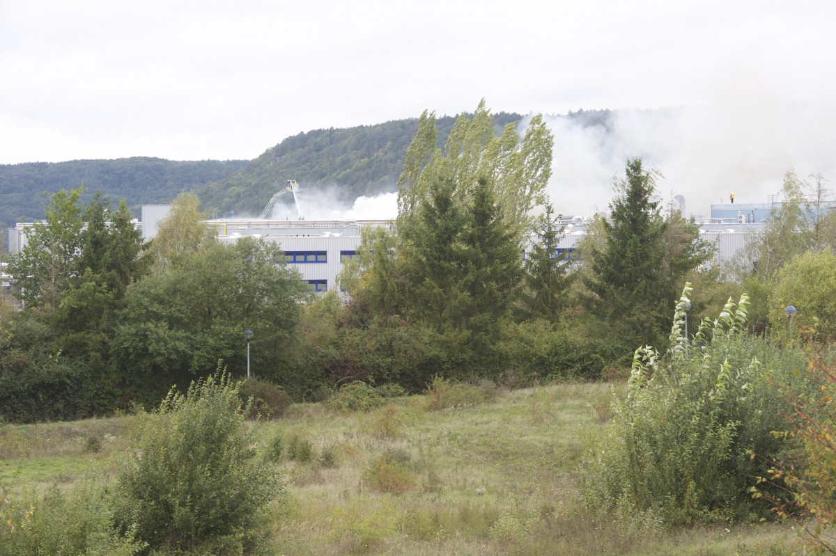 01.10.2019_Editpress_494666