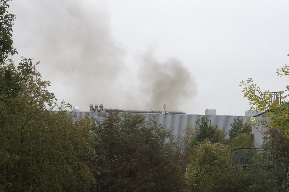 01.10.2019_Editpress_494673