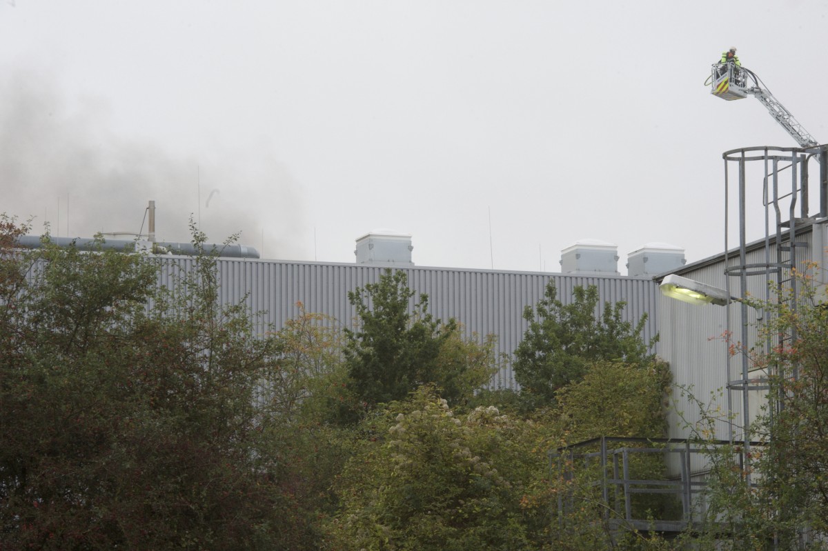 01.10.2019_Editpress_494674