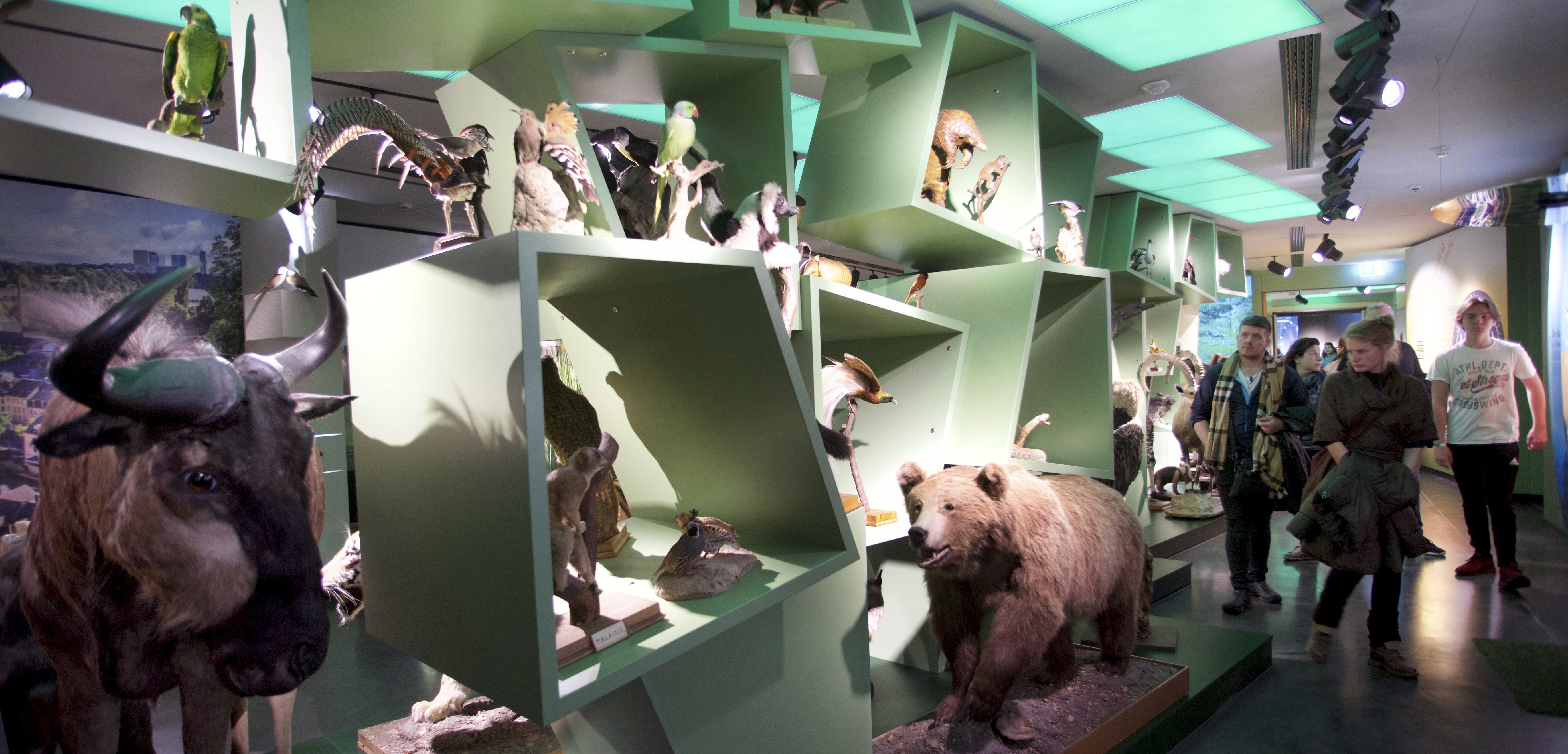 Eintauchen in die Museumswelt: Zahlreiche Besucher genießen die „Nuit des musées 2019“